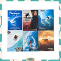 Y2K Andy Irons Poster A4 Bundle (6pc)