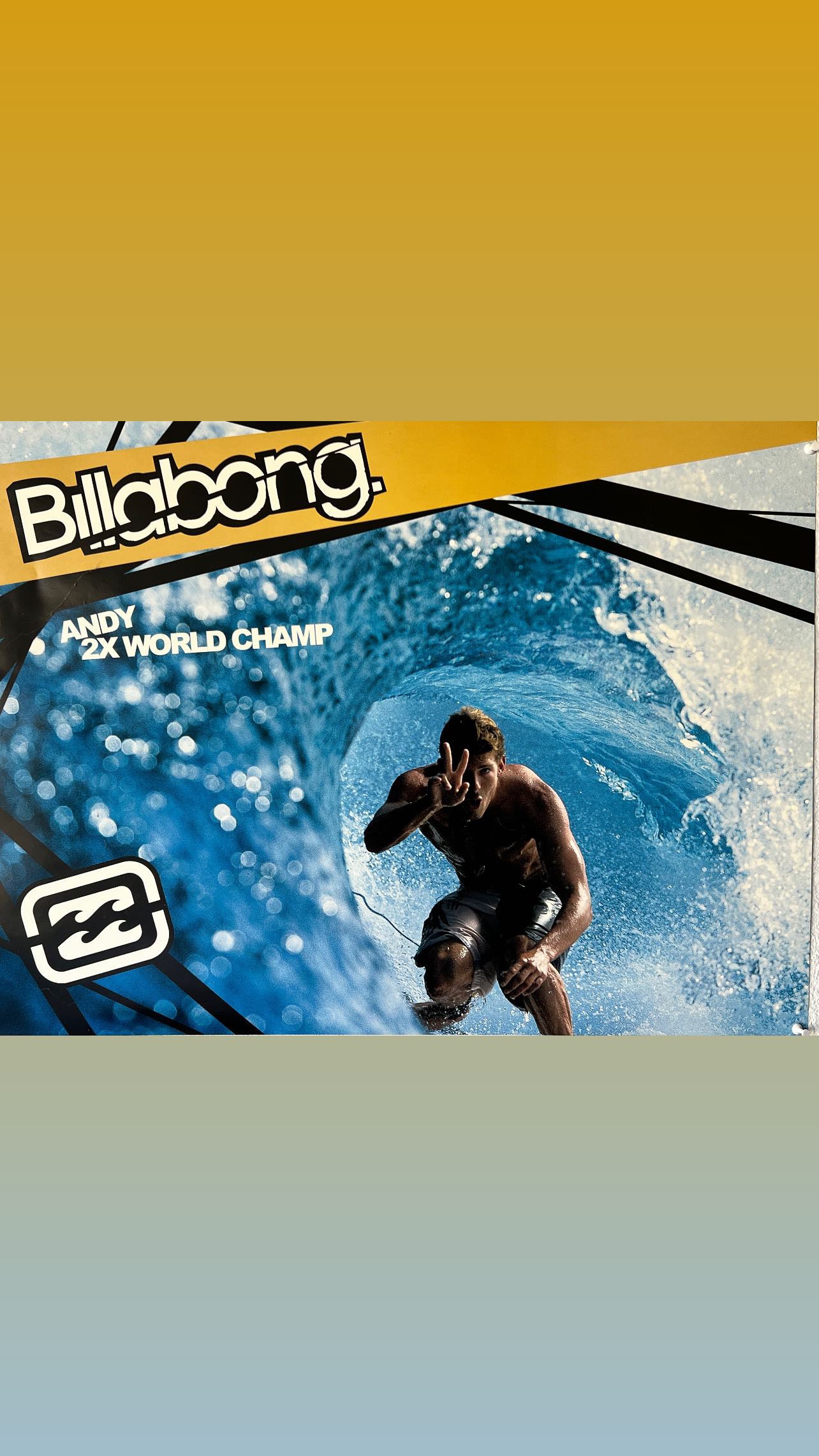 Shaneo Boardies
