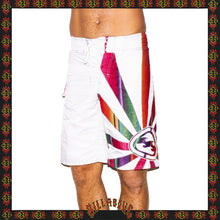 Load image into Gallery viewer, Y2K Billabong &quot;Andy Irons - Rising Sun Signature Series&quot; Boardshorts (28&quot;)
