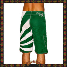 Load image into Gallery viewer, Y2K Billabong &quot;Andy Irons - Rising Sun Signature Series&quot; Boardies (30&quot;)
