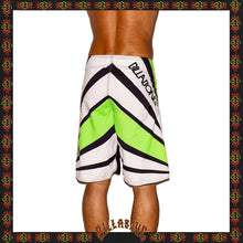 Load image into Gallery viewer, Y2K Billabong &quot;Andy Irons - Airlite Samurai Signature Series&quot; Boardies (30&quot;)
