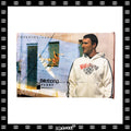 Y2K Billabong "Joel Parko" Poster