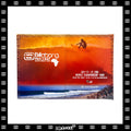 2005 Billabong Pro J-Bay "Andy Irons" Poster
