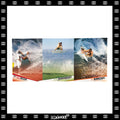 Y2K Billabong "Trilogy - Andy/Joel/Taj" Triple Page Poster