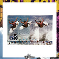 Y2K Volcom "Dean Morrison // Dingo" Poster