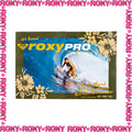 Y2K Roxy Pro "6th Annual" Poster