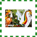 Y2K Reef Boardshorts Poster